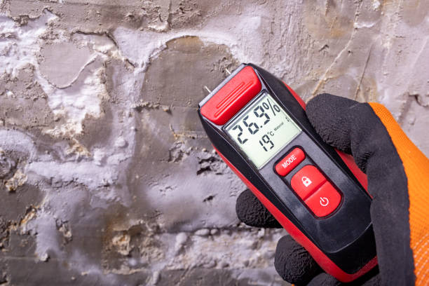 Best Professional Mold Removal  in Jasper, AL